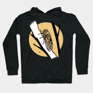 Cicada Hoodie